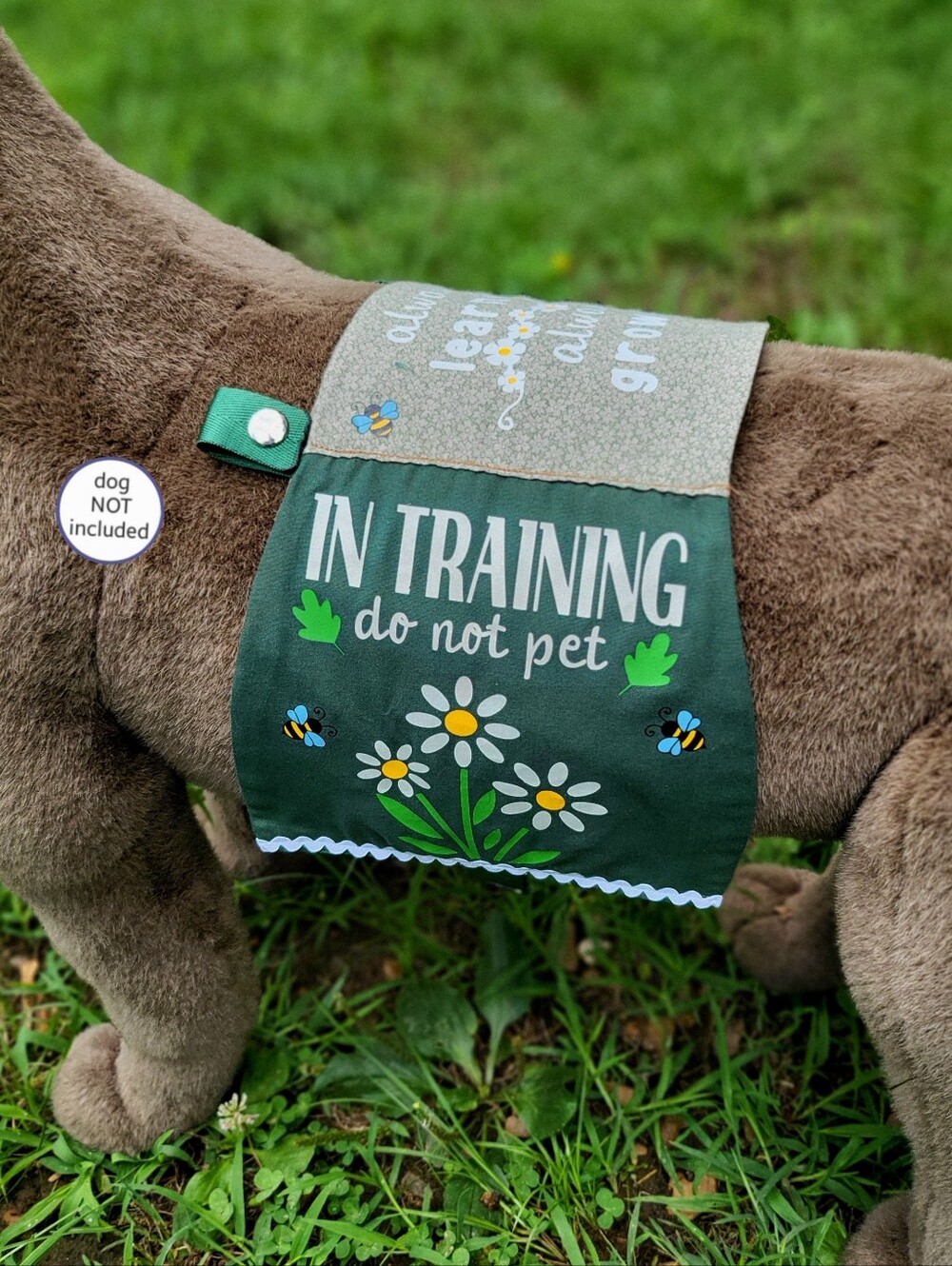 In Training Cape _ SD Gear _ Service Dog _ Working Dog